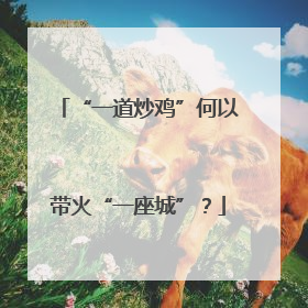 “一道炒鸡”何以带火“一座城”？